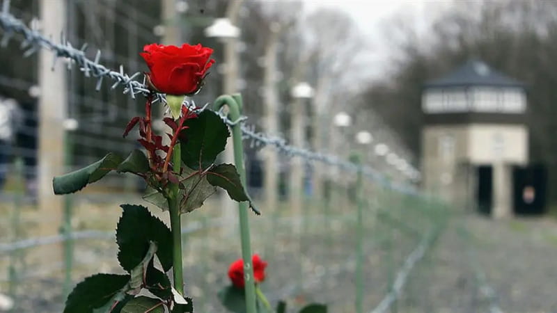 Giorno della memoria.jpg